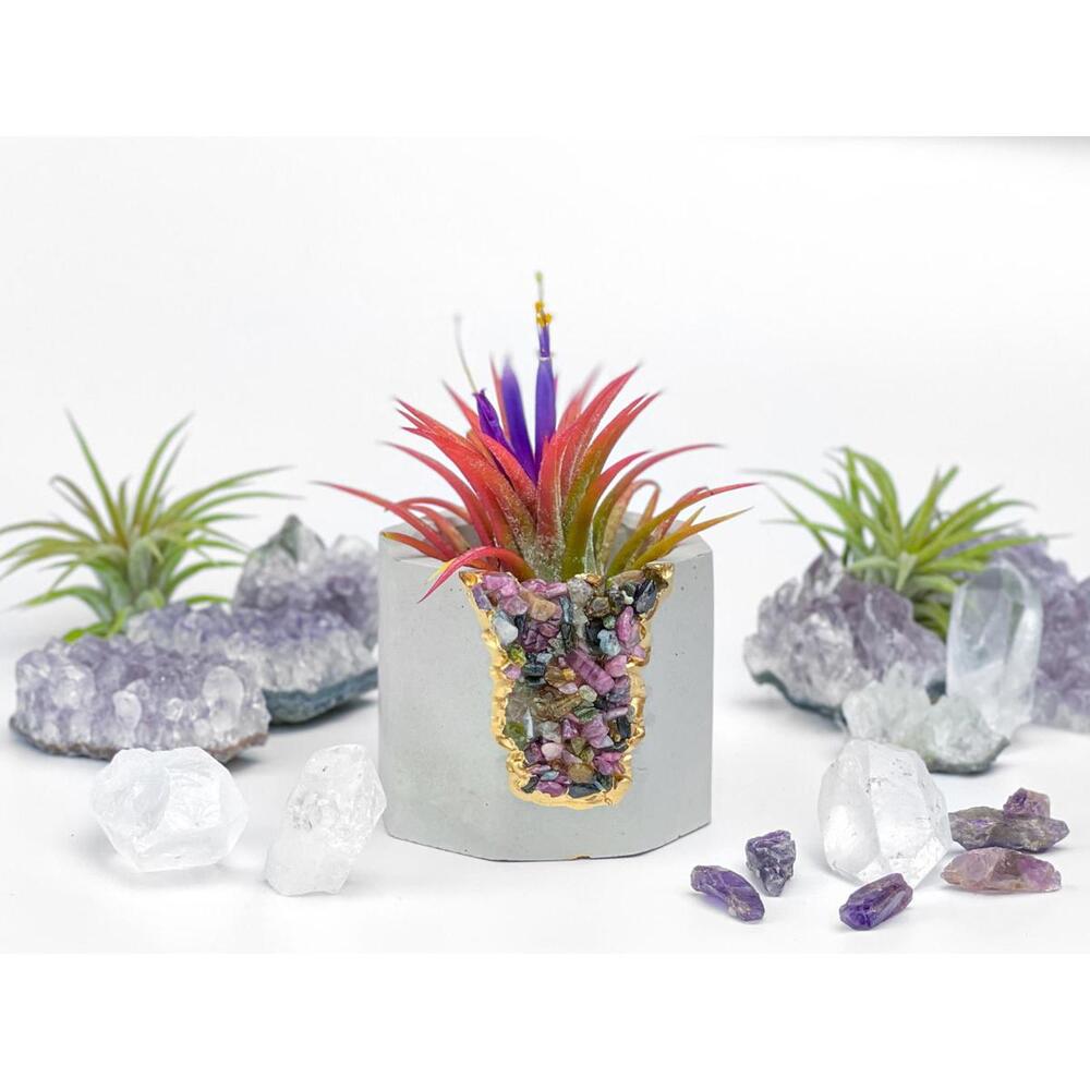 Tourmaline Crystal Geode Planter Concrete Air Plant Holder